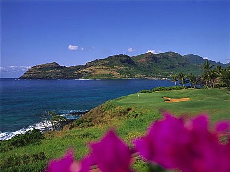 夏威夷,考艾岛,考艾礁湖,高尔夫球场,基乐球场,场地,绿色,边缘,花
