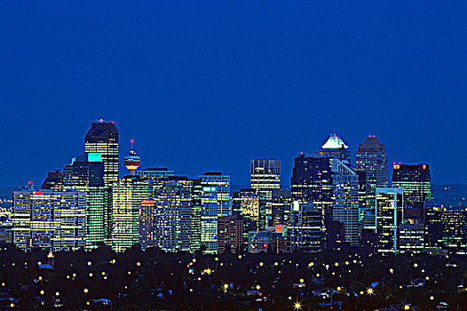 市区,卡尔加里,夜晚,艾伯塔省,加拿大