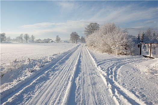 雪,冬天,道路
