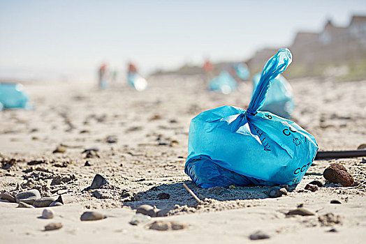 蓝色,包,垃圾,晴朗,沙滩