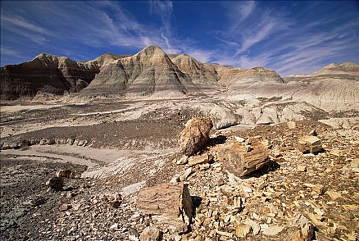 原木,大块,木化石,休息,斜坡,小,山,靠近,干燥,石化森林国家公园,亚利桑那