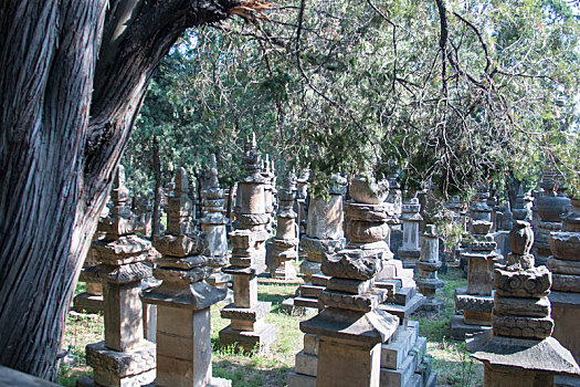 灵岩寺,济南,济南灵岩寺,佛教,佛教胜地