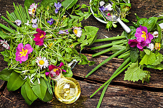 春季沙拉,野生药草,食用花卉,油