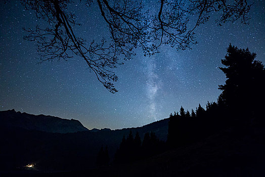 银河,上方,山,树林,阿彭策尔,瑞士,欧洲