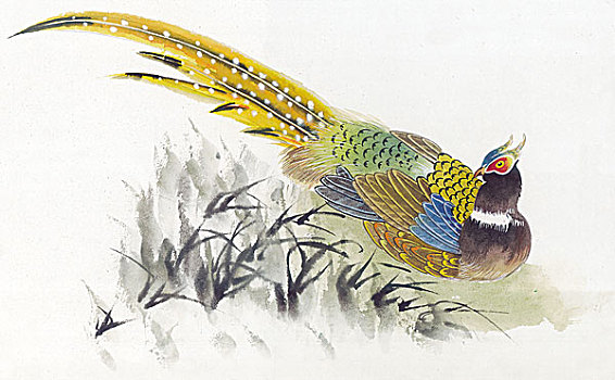 國畫人物花鳥動物植物山水
