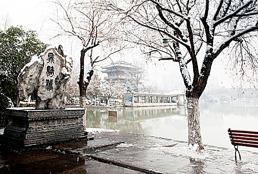 合肥逍遥津公园雪景