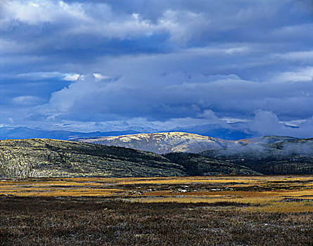风景,云,早晨,靠近,国家公园,挪威,斯堪的纳维亚,欧洲