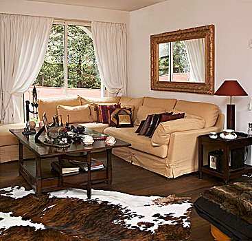 沙发,茶几,传统,客厅