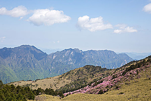 神农架风光