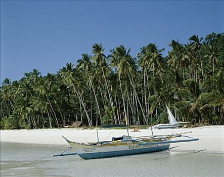 棕榈树,沙子,长滩岛,菲律宾