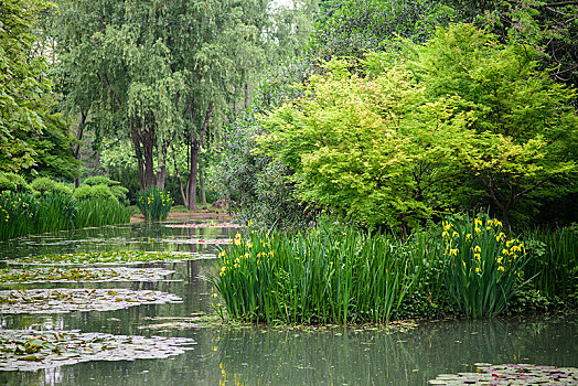 绿草池塘