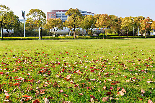 上海交通大学闵行校区校园阳光草坪风光