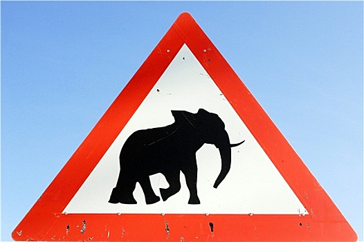 大象,穿过,路标