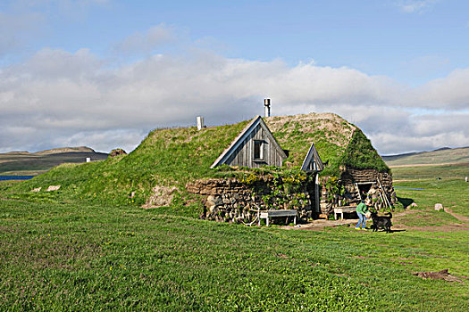 草皮,房子,冰岛,欧洲