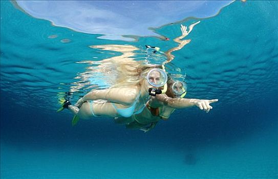 两个,女青年,潜水,巴厘岛,印度洋,水下