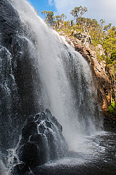 瀑布,格兰扁,国家公园,维多利亚,澳大利亚,大洋洲