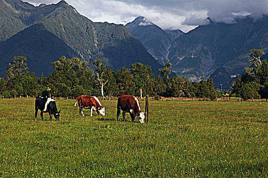 马瑟森湖lake,matheson