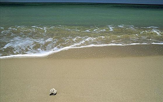 海滩,沙子,海洋,地平线,度假,假日,夏天,岛屿,印度尼西亚,亚洲