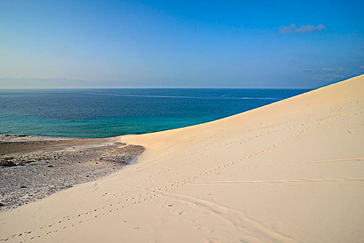 巨大,沙丘,海滩,岛屿,索科特拉岛,也门,亚洲