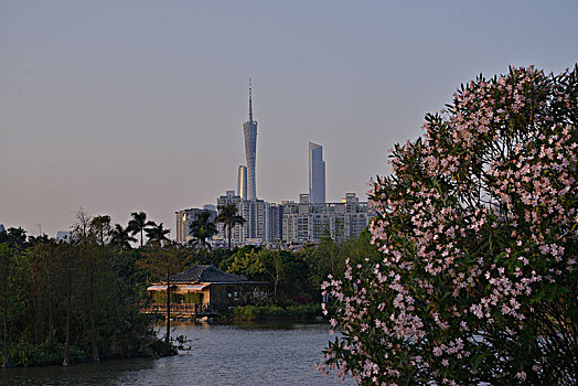 海珠湖公园