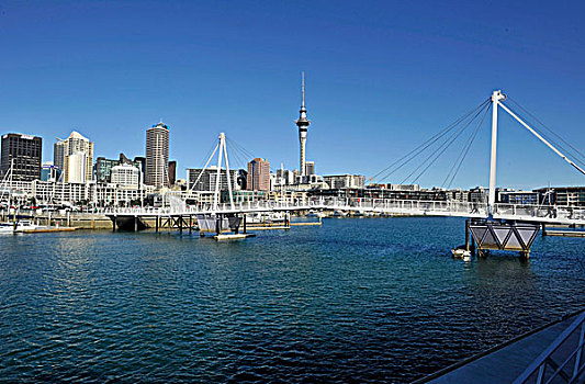 风景,新,活动衍架,桥,高架桥,中心,后面,奥克兰,新西兰