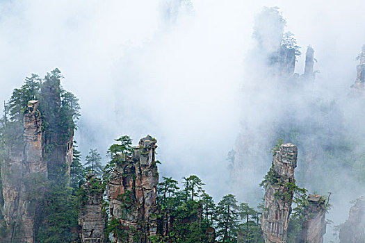 景色,区域,国家森林,公园,湖南,中国