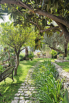 长椅,树,地中海,花园