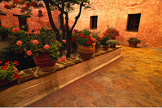 花园,院落,酒店,瓦哈卡,墨西哥