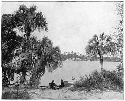 印度河,佛罗里达,迟,19世纪,艺术家,未知