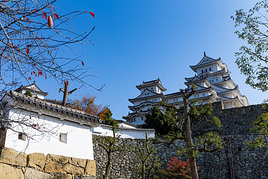 传统,姬路城堡,蓝天