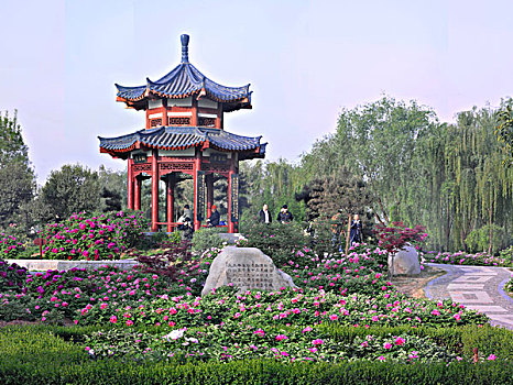 牡丹園