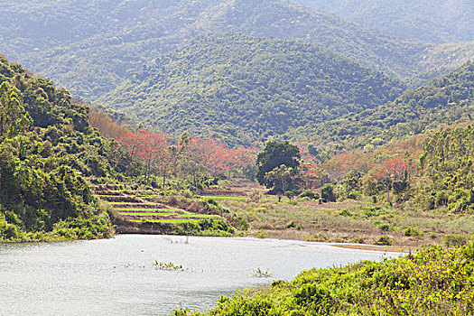 田园风光