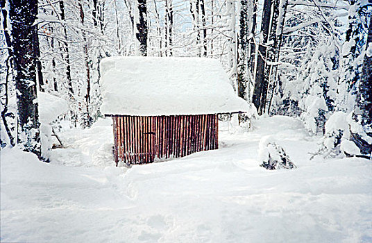 大雪