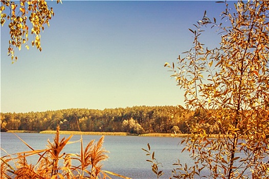 秋天,木头,堤岸,大,美女,湖