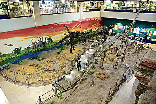 河北省石家庄市地球科学博物馆恐龙馆