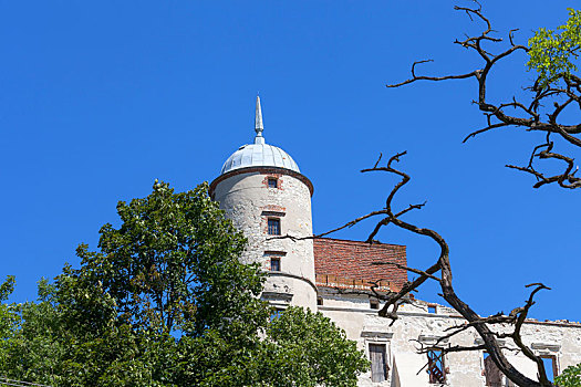 文艺复兴,城堡,防护,建筑,遗址,晴天,卢布林,波兰