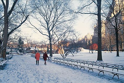 中央公园的冬景