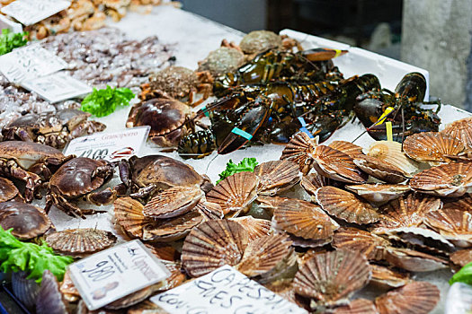 蛤,蟹肉,冰,市场,威尼斯城