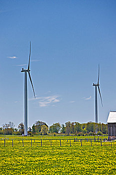 环保,风轮机,布鲁斯半岛,安大略省,加拿大