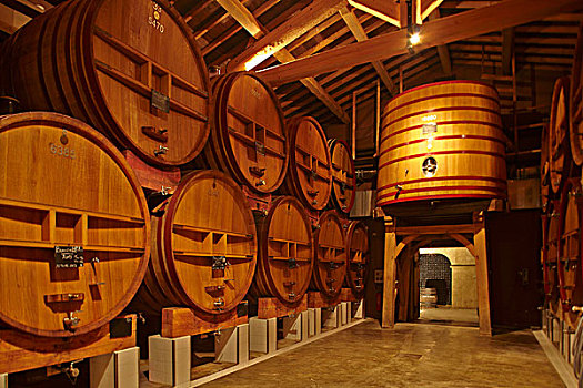 酒窖,葡萄园,法国