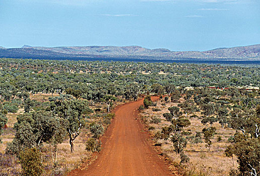 土路,通过,风景,卡瑞吉尼国家公园,西澳大利亚,澳大利亚