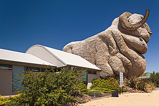 澳大利亚,大,绵羊,雕塑