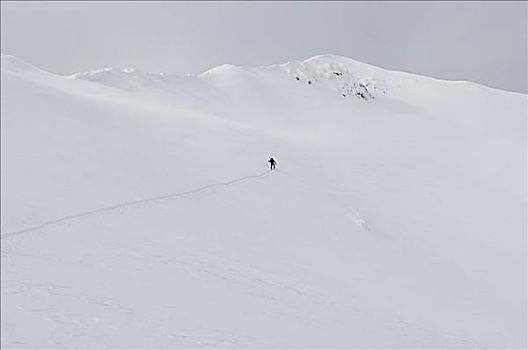 男人,边远地区,滑雪,不列颠哥伦比亚省,加拿大