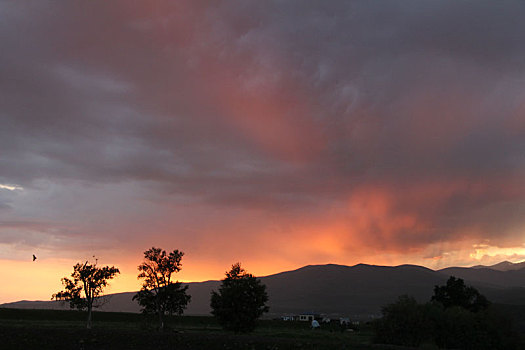 草原上,夕阳