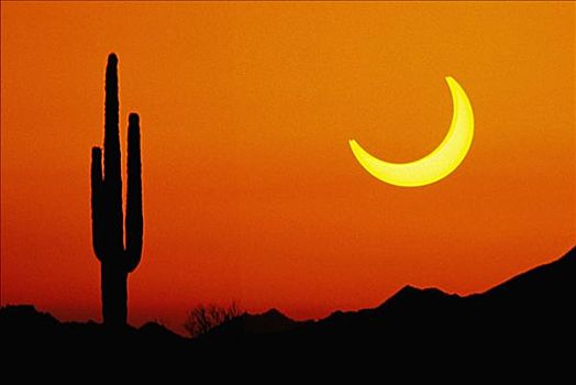 日食,五月,国家野生动植物保护区,亚利桑那,美国