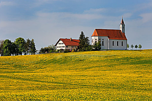 农场,小教堂,巴伐利亚,德国,欧洲