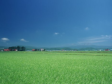 地点,区域