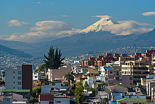 基多,省,厄瓜多尔,南美