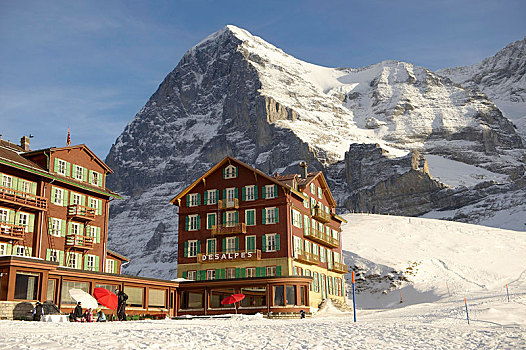 酒店,阿尔卑斯山,瑞士,欧洲