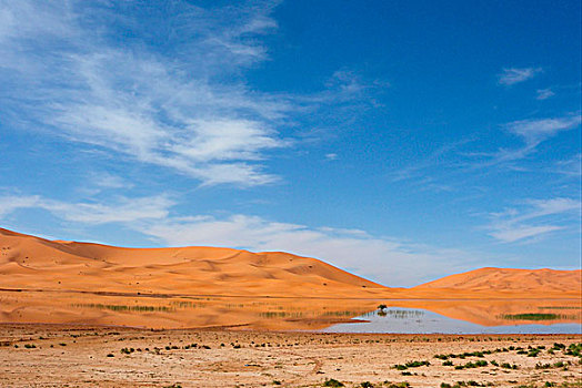 风景,季节,沙漠,湖,沙子,沙丘,撒哈拉沙漠,梅如卡,摩洛哥,非洲